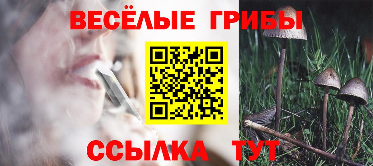 Вязники  Псилоцибиновые грибы MAGIC MUSHROOMS  Псилоцибиновые грибы Psilocybine cubensis  Вход с VPN 